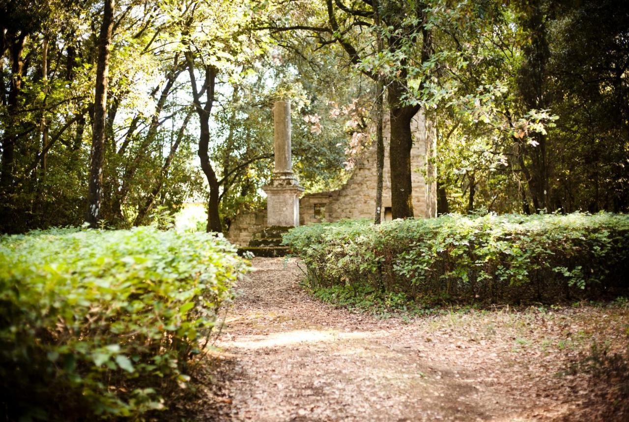 הוילה פרוג'ה San Martinello מראה חיצוני תמונה